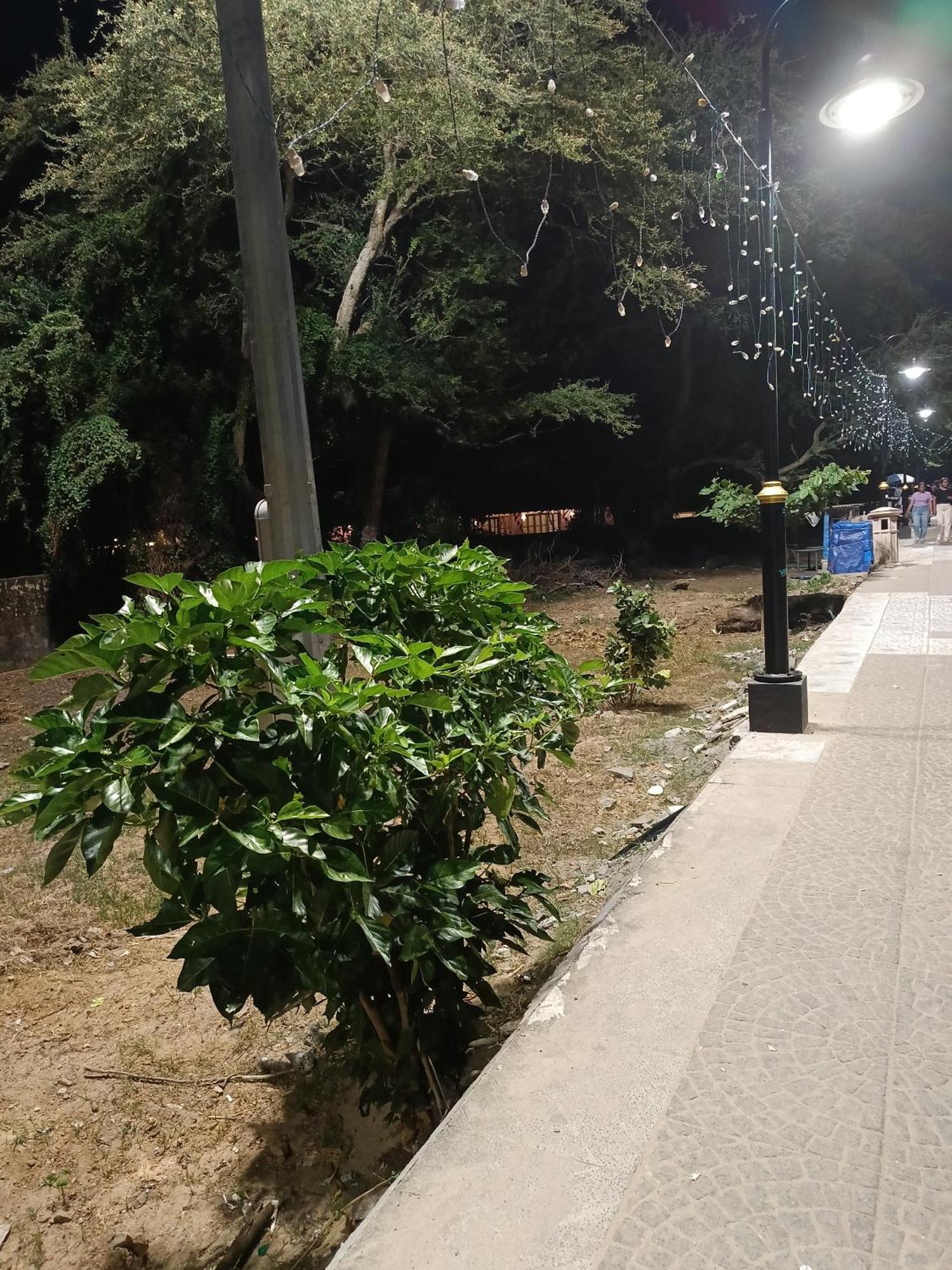 Kochi Elzas Fort Inn מראה חיצוני תמונה