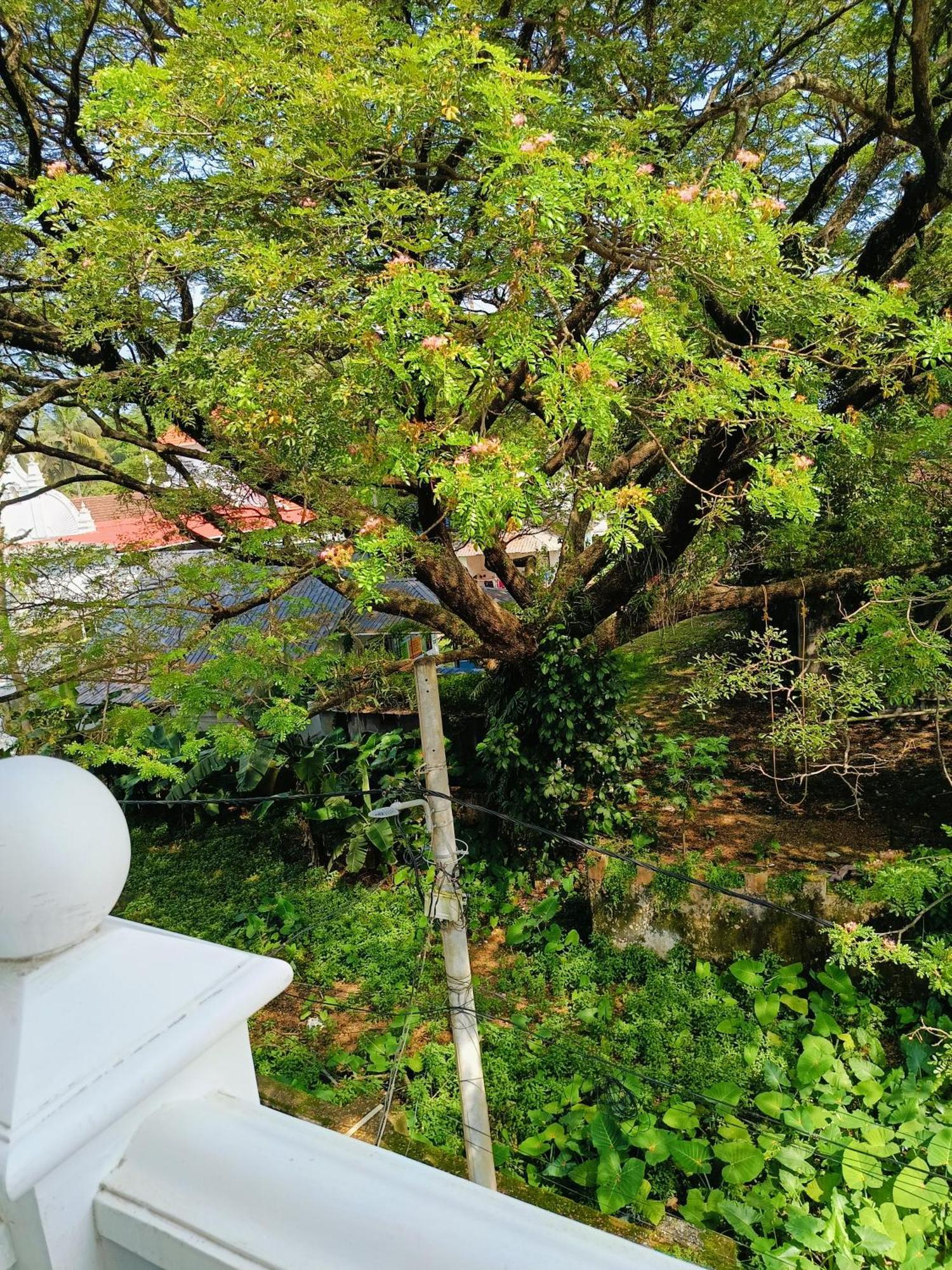 Kochi Elzas Fort Inn חדר תמונה
